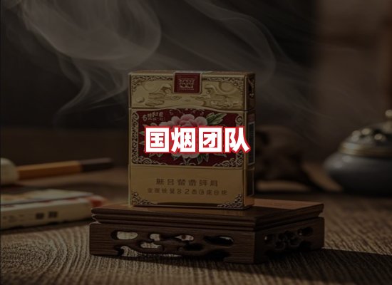 国烟团队