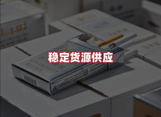 专业团队